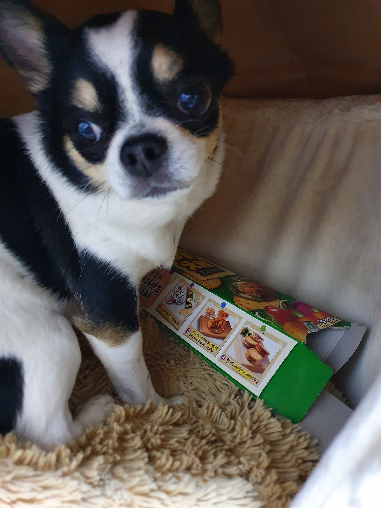 KakaoTalk_20220424_134717918_06 (1).jpg