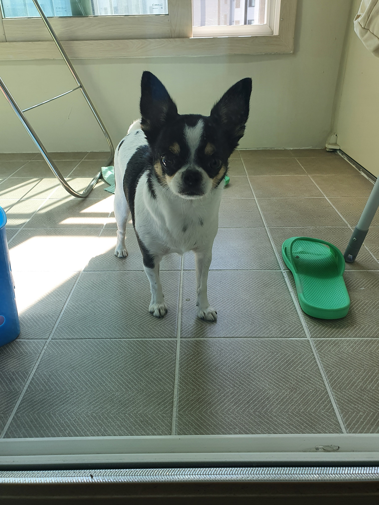 KakaoTalk_20220424_134717918_01 (1).jpg