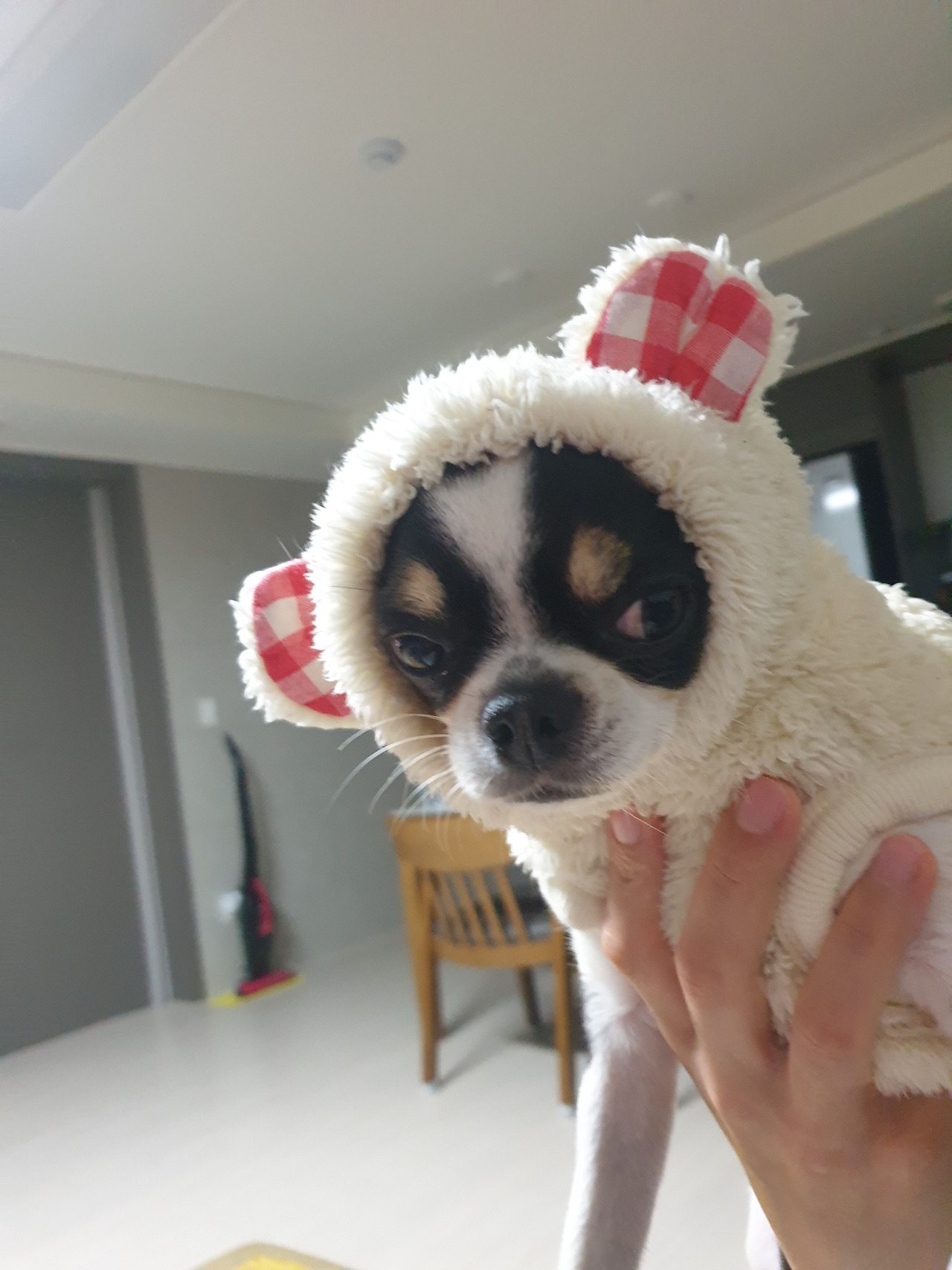 KakaoTalk_20220424_134717918_02 (1).jpg