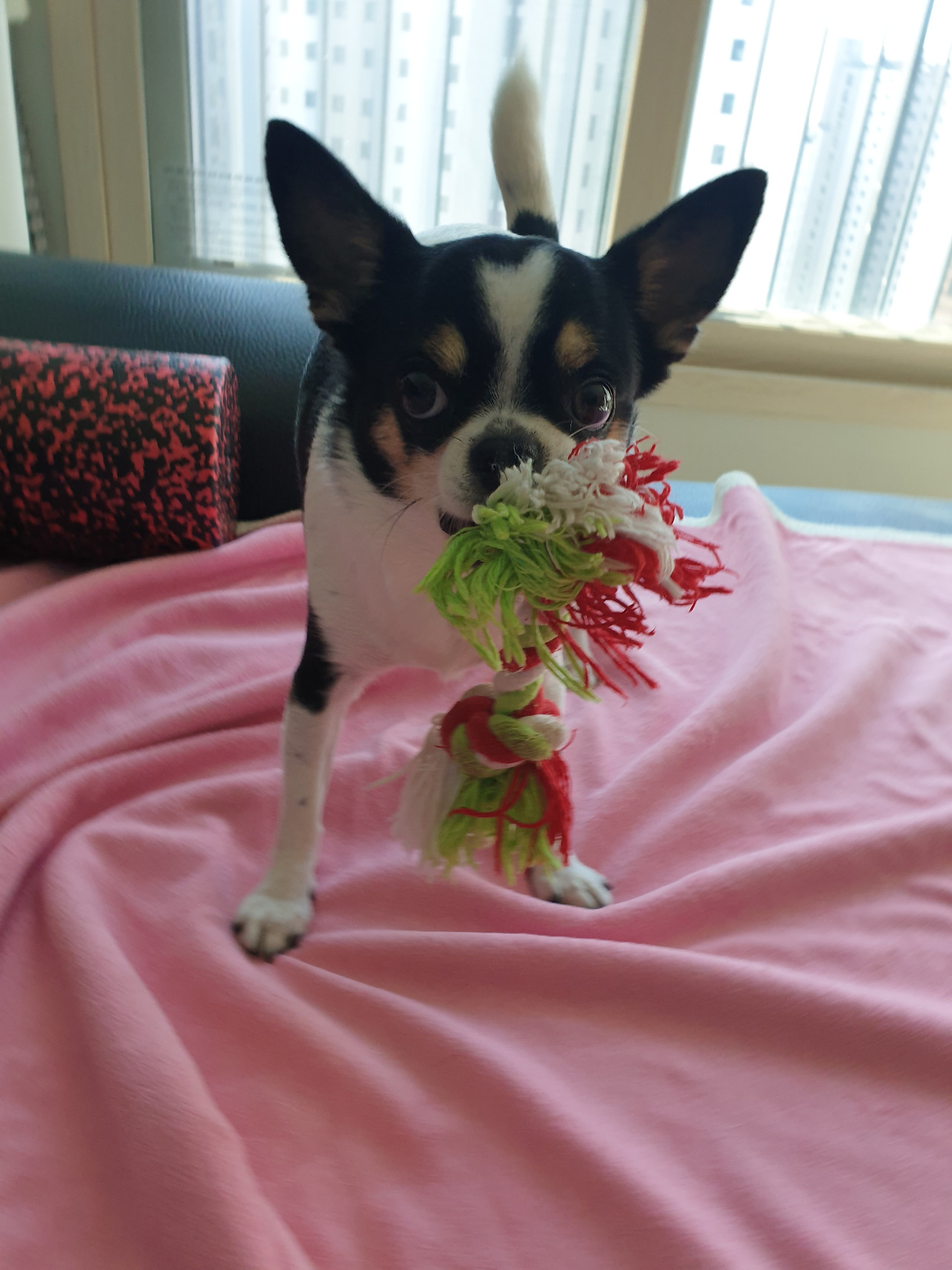 KakaoTalk_20220424_134717918_03 (1).jpg