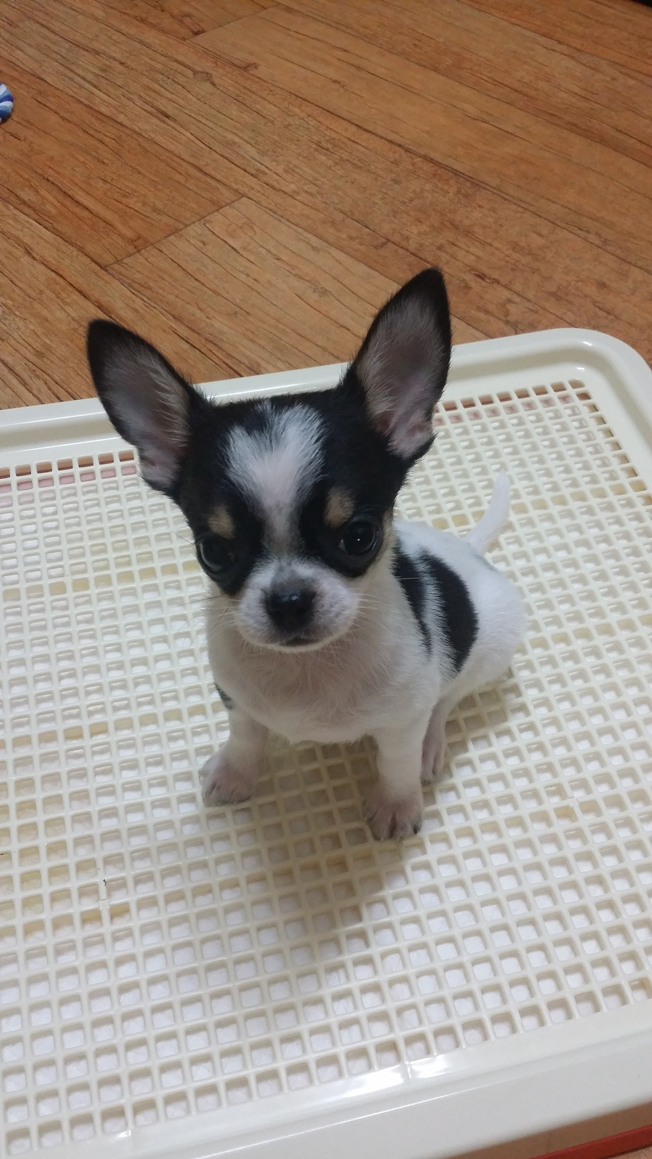 KakaoTalk_20220424_134232789 (1).jpg