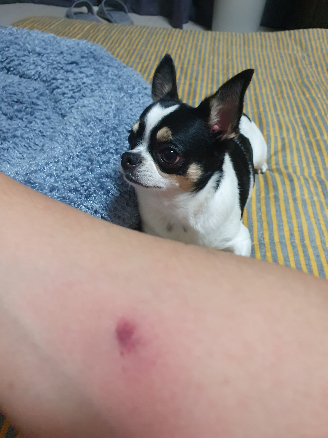 KakaoTalk_20220424_134717918 (1).jpg