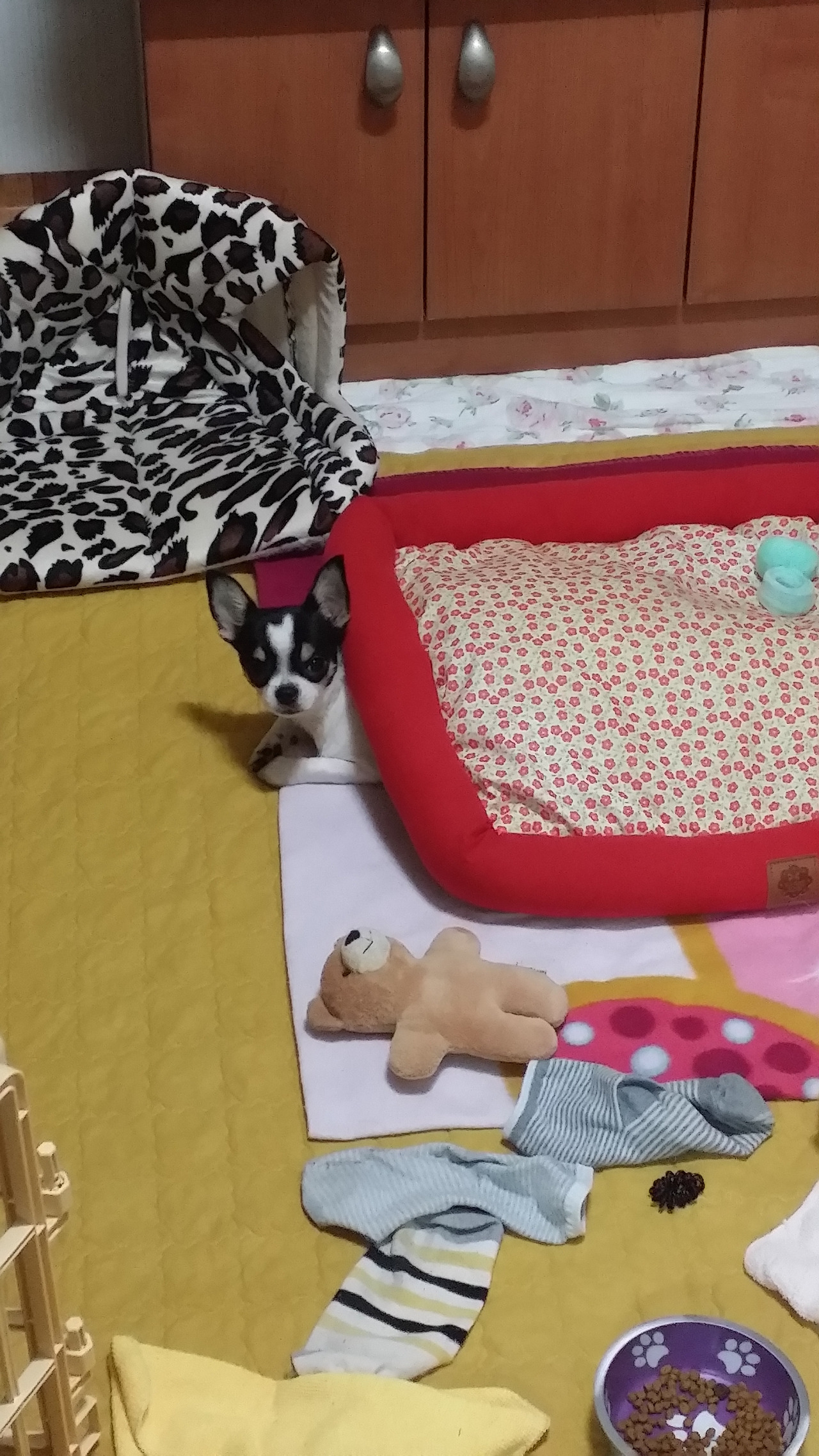 KakaoTalk_20220424_134232789_02 (1).jpg