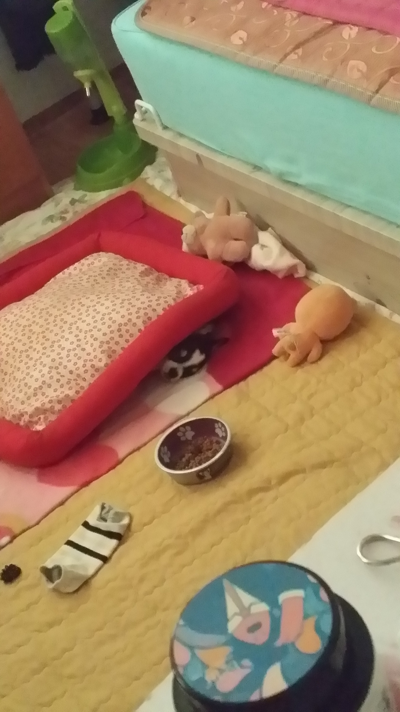 KakaoTalk_20220424_134232789_03 (1).jpg