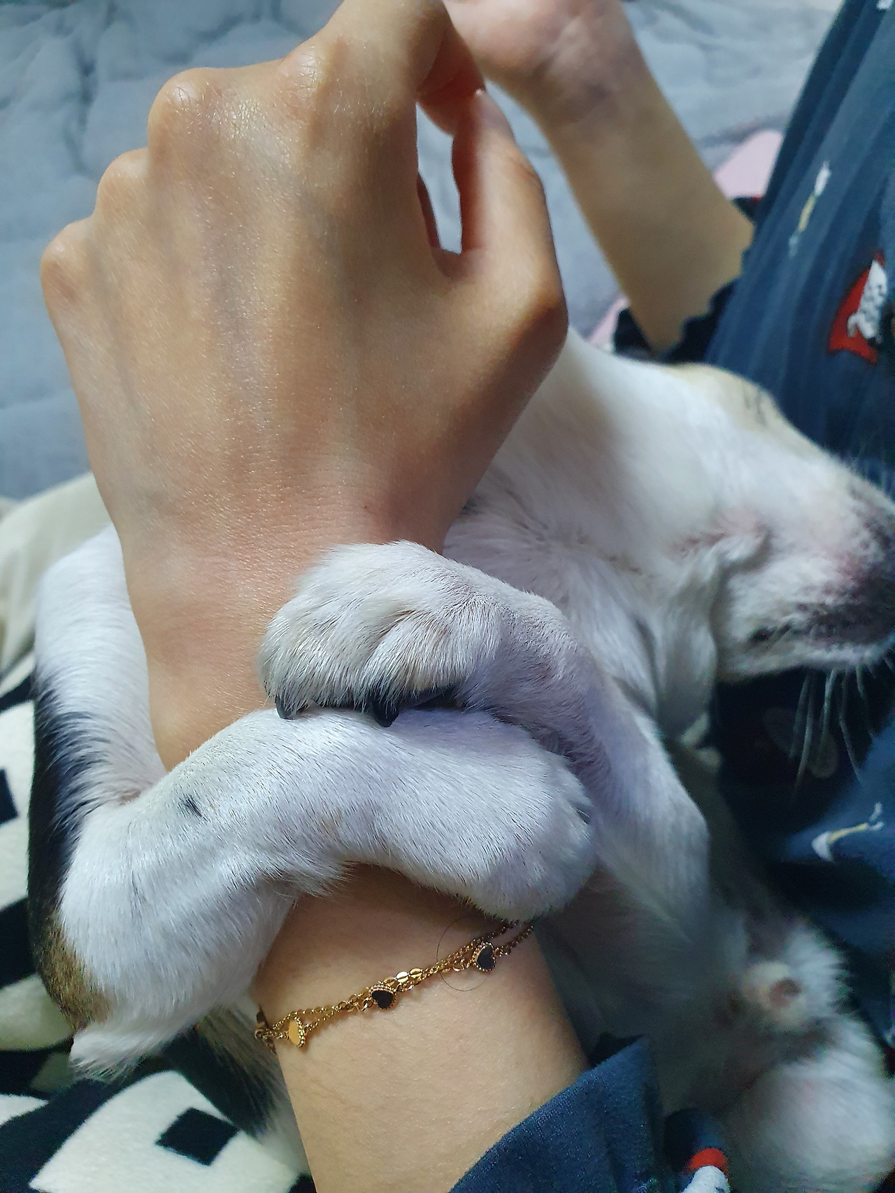 KakaoTalk_20220424_134717918_05 (1).jpg