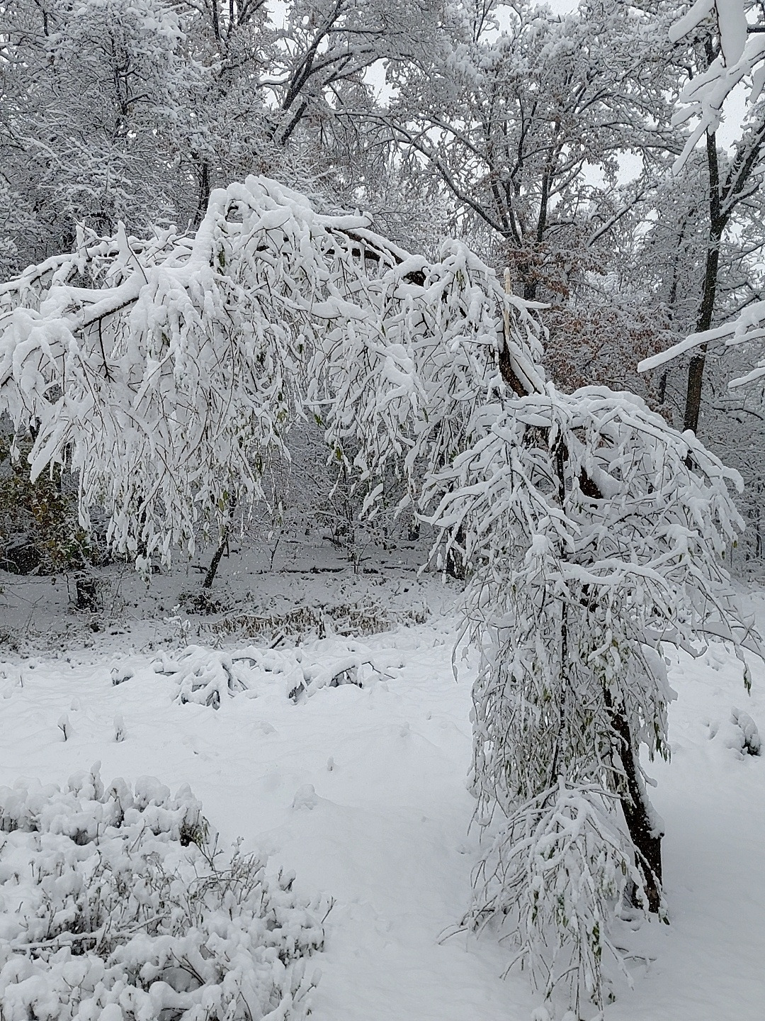 너의 온기 8.1.jpg