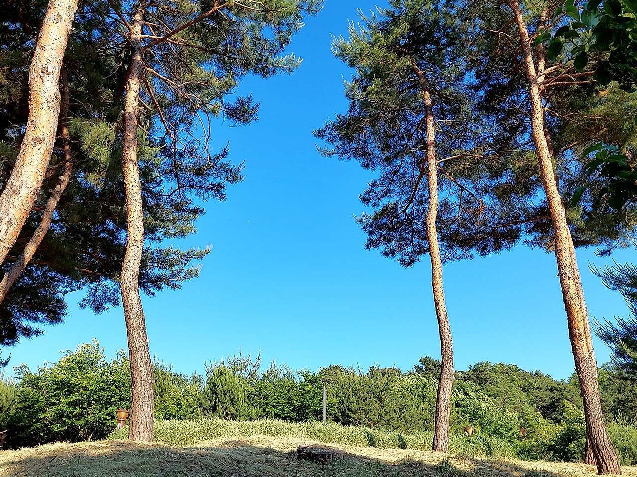 하늘은 맑건만.jpg