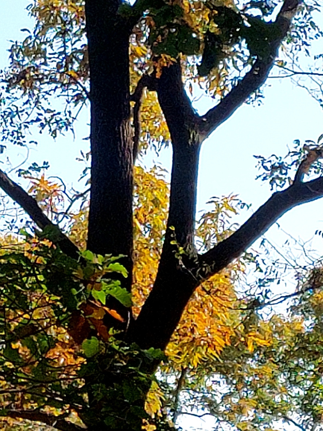 나무의 온기1.jpg