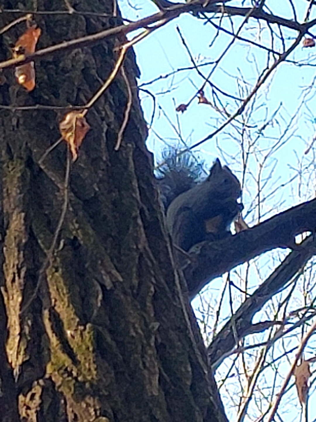 초록을 품은 나무4.jpg