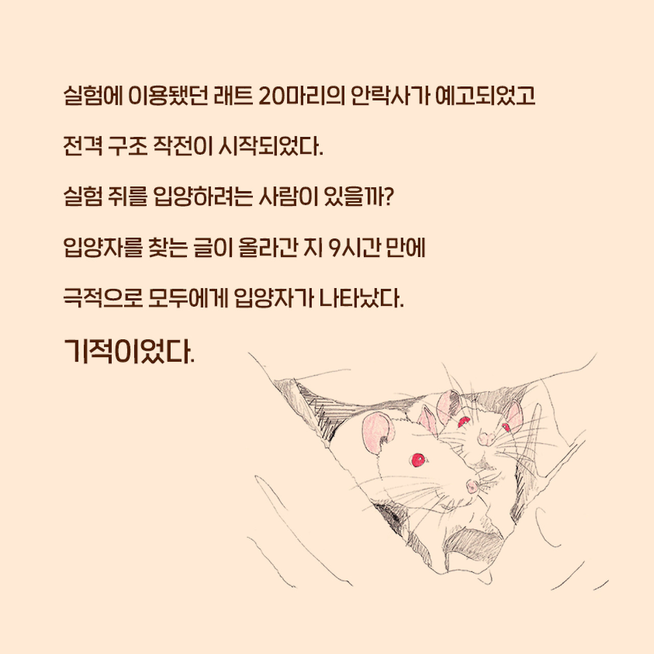 다음메인3_실험쥐구름과별5_실험쥐 구름과 별_인스타용2.jpg