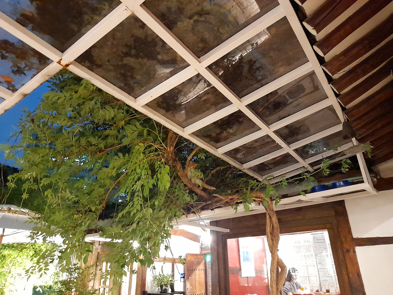 노랑고양이_삼원샏2_220707 (8) 한겨레애피미팅.jpg