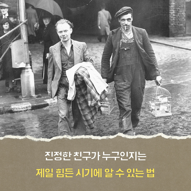 1_북카드_전쟁과개고양이대학살66.jpg