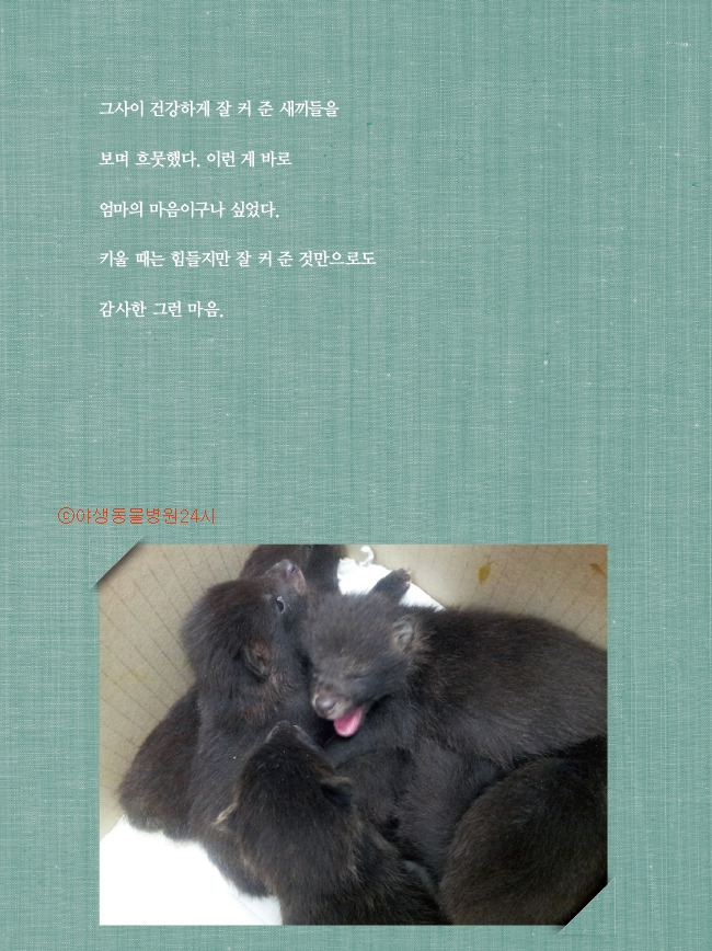 1_야생동물병원10쇄5.jpg