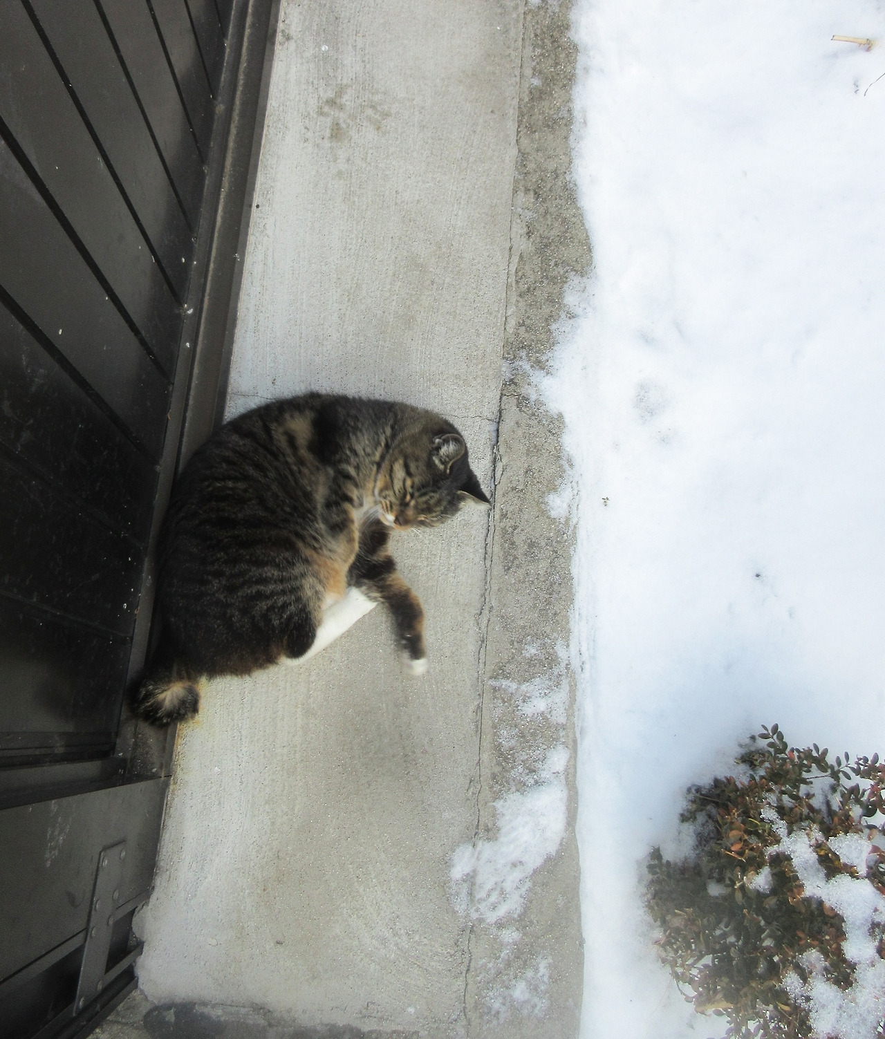 1_10_눈이왔네_목걸이_260106 (33).jpg