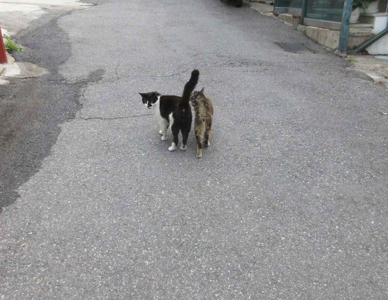 1은애_작은귀_한옥_공사3_230611 (158).jpg