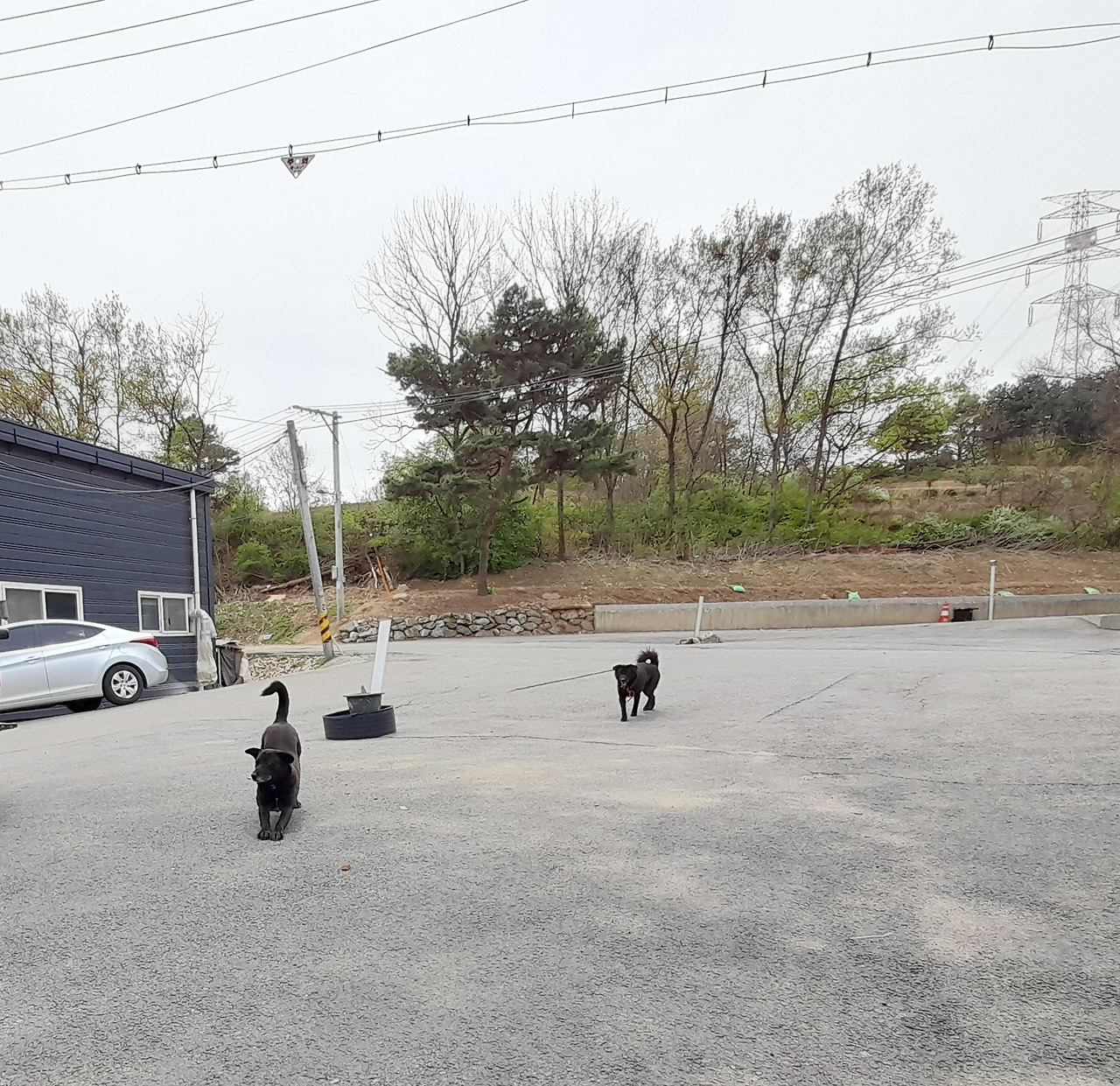 인쇄소검둥이2_230413 (16).jpg