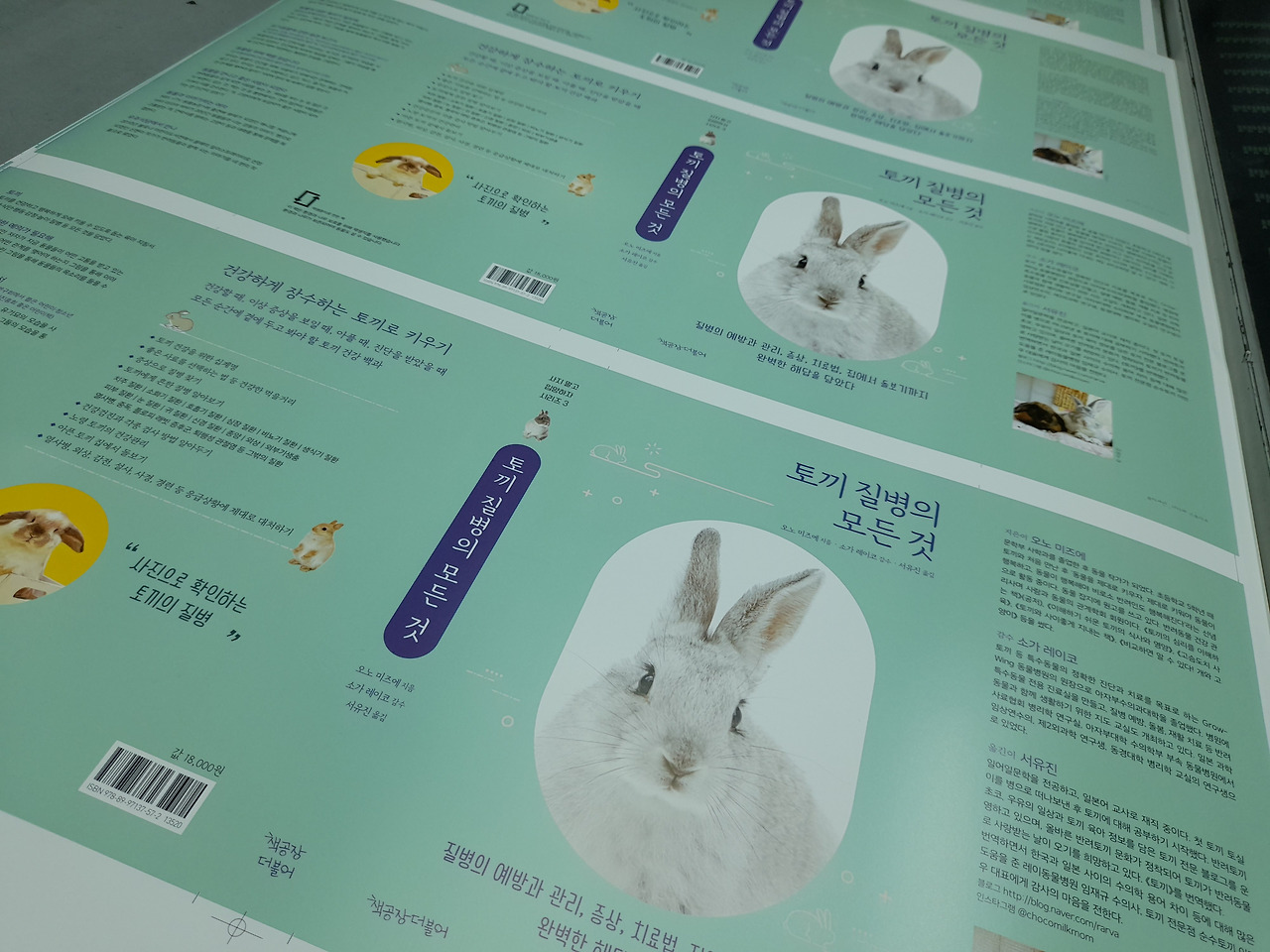 인쇄감리_토끼질병_221214 (4).jpg