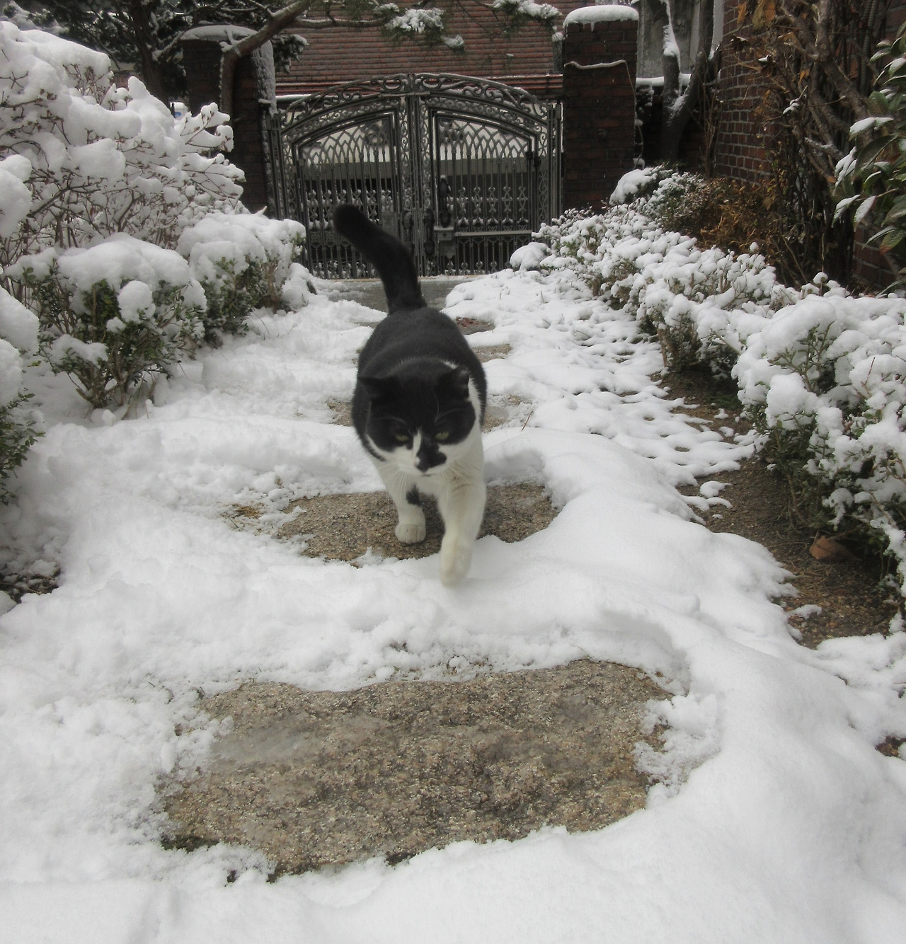 1_폭설_은애찾기5_240222 (154).jpg