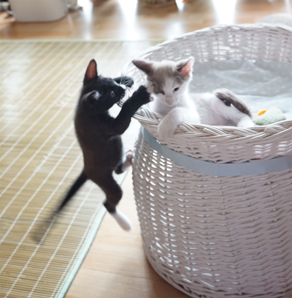 1_래오_250110 (3)_3.jpg