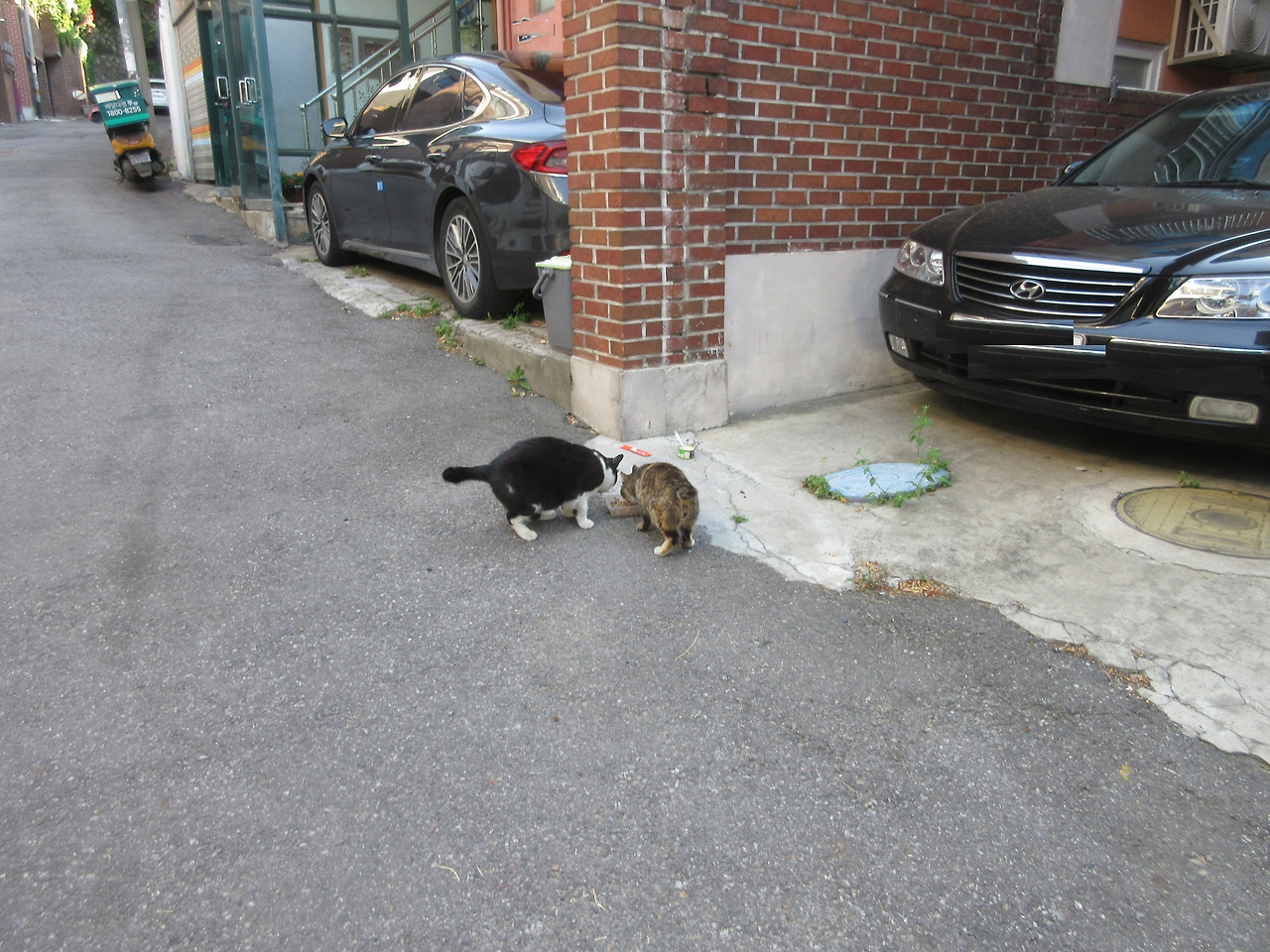 은애_작은귀_빌라공사3_220604 (19).jpg