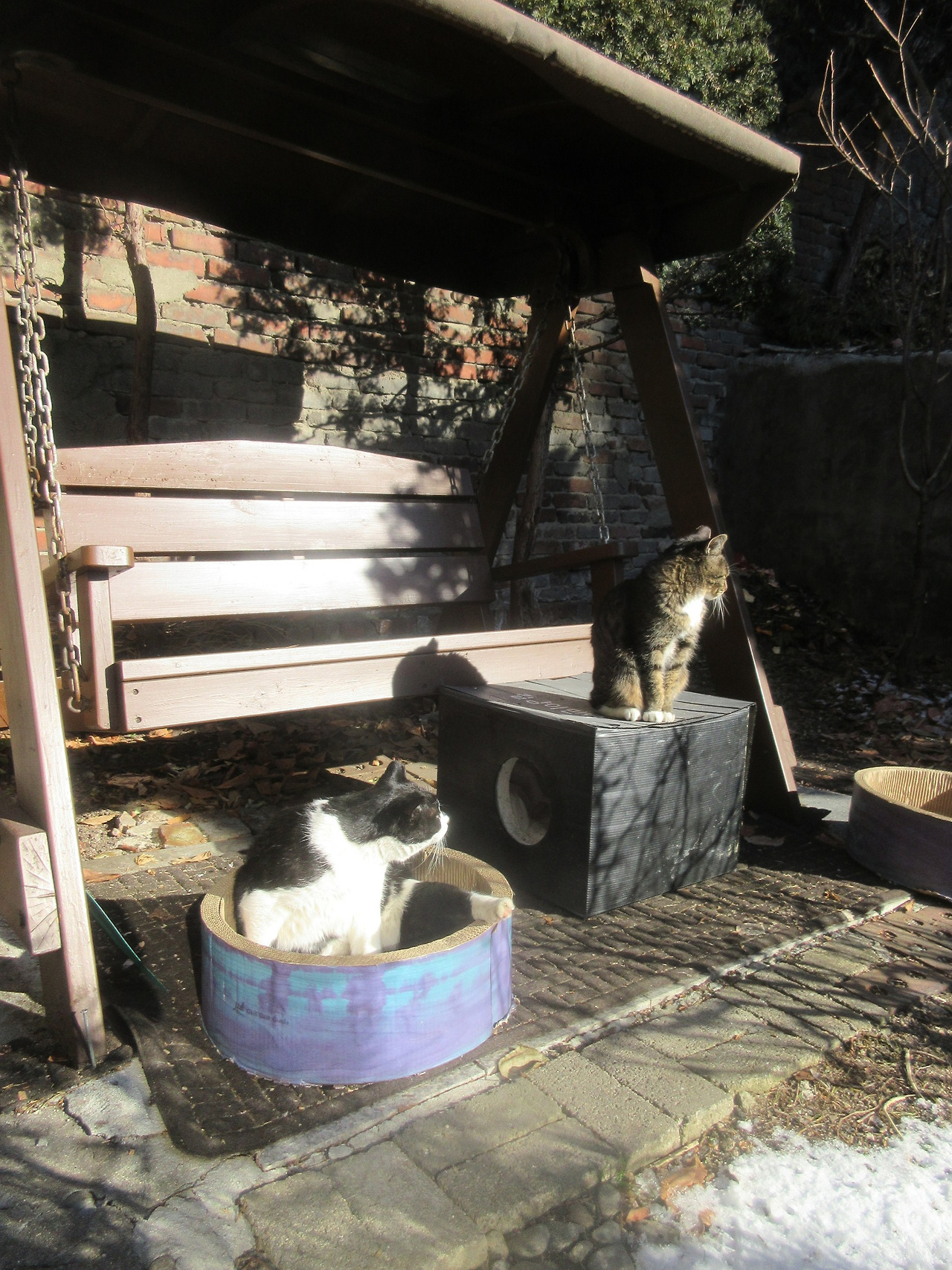 1_목걸이_은애_버드워칭_241222 (41).jpg