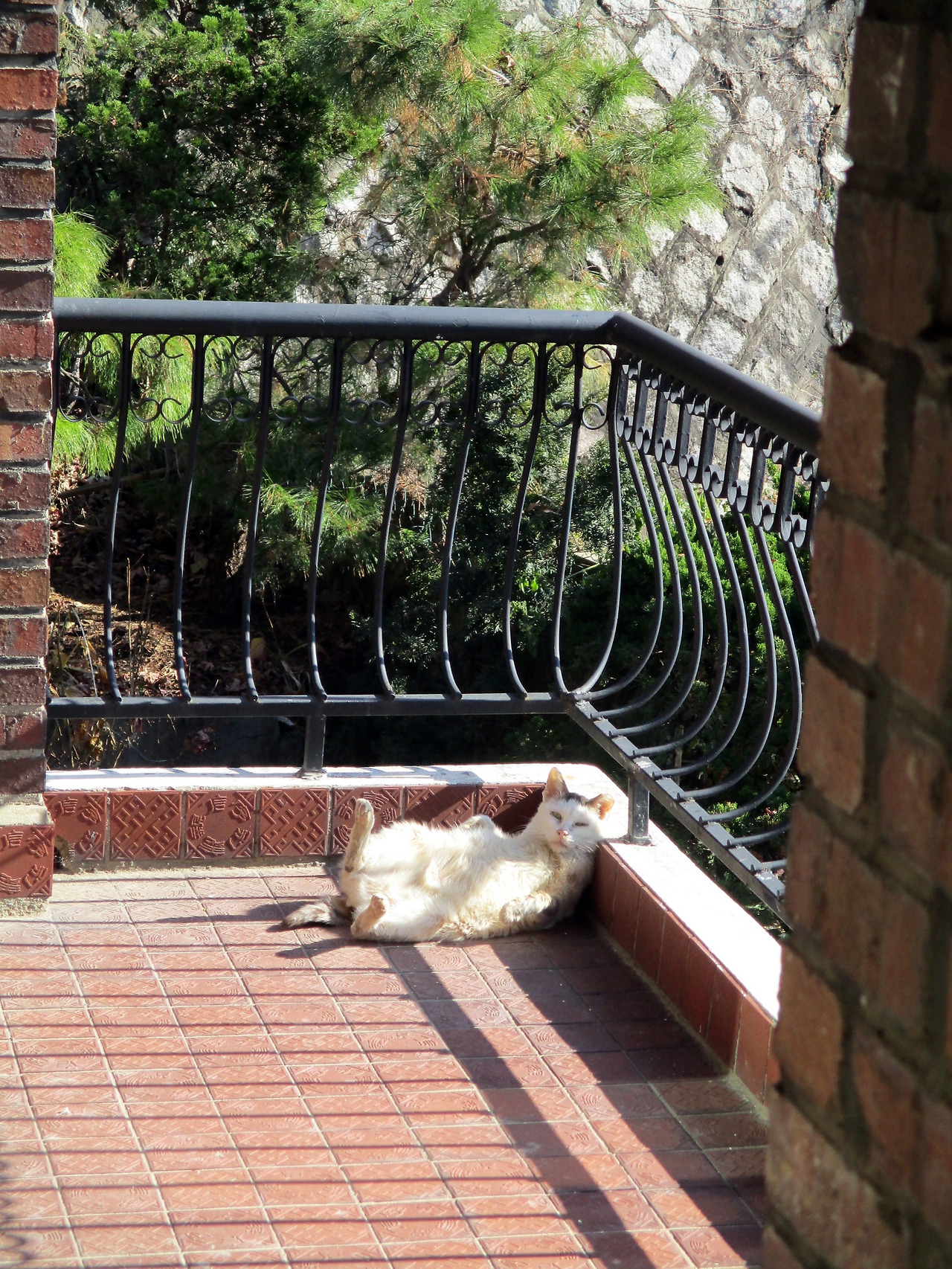 0_민호_베란다_벌러덩201130 (18).jpg