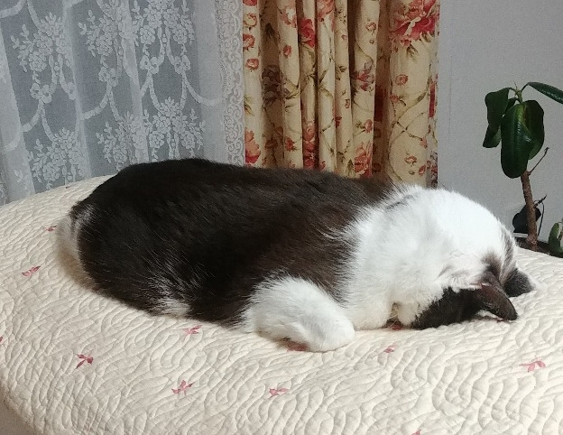 1_래오_250110 (3)_2.jpg