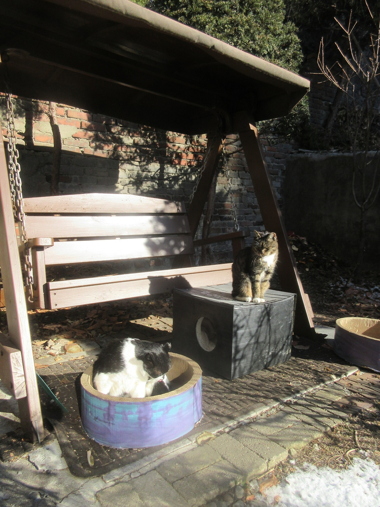 1_목걸이_은애_버드워칭4_241222 (35).jpg