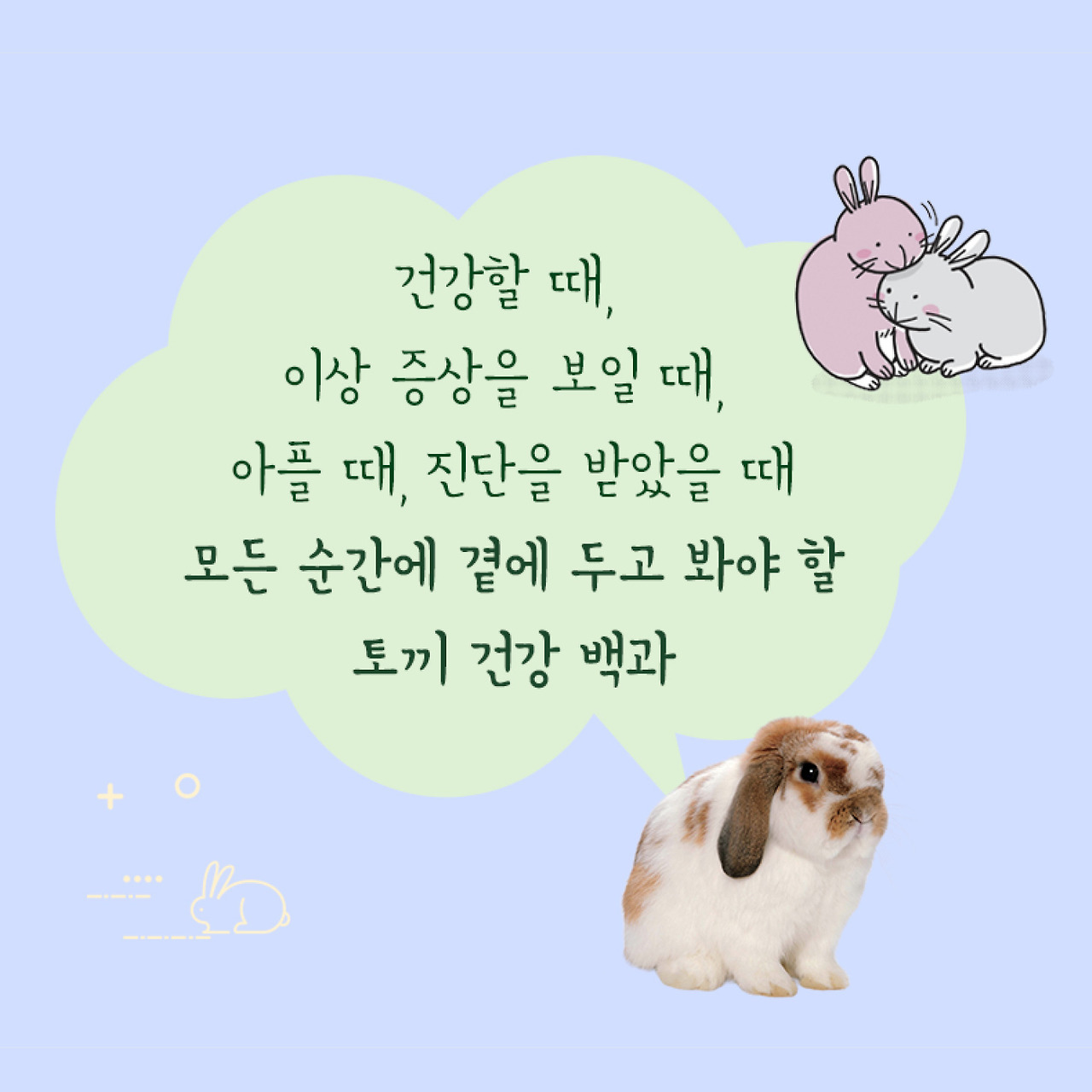 토끼질병_웹배너3.jpg