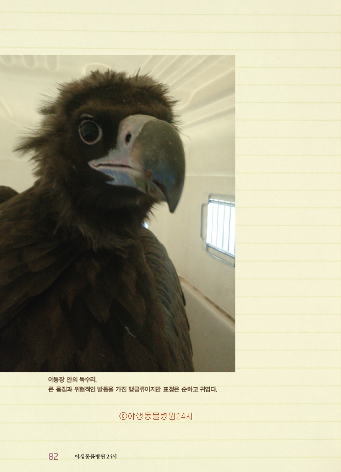 1_야생동물병원10쇄14.jpg