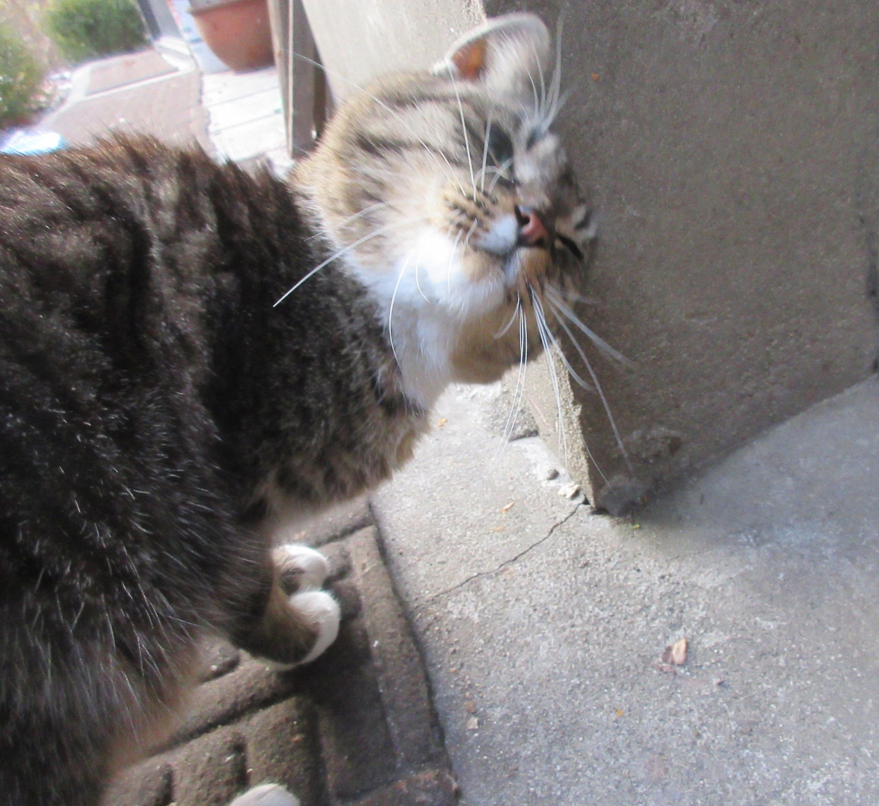 목걸이_다쳤어1_130104 (60).jpg