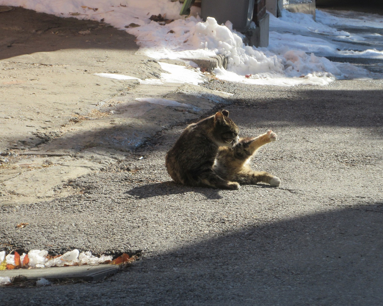 1작은귀_목걸이5_1팽팽하기는_221228 (89).jpg