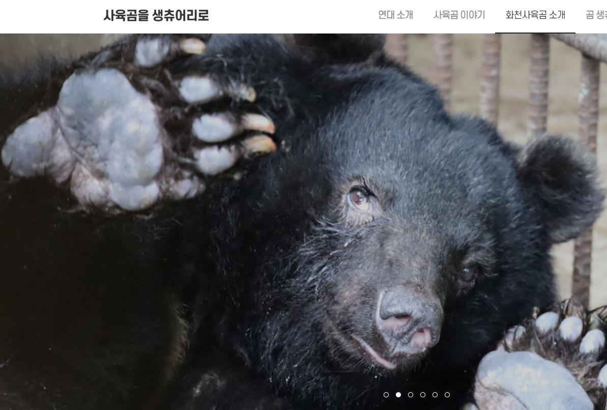 1사육곰_화천_특별법청원.jpg
