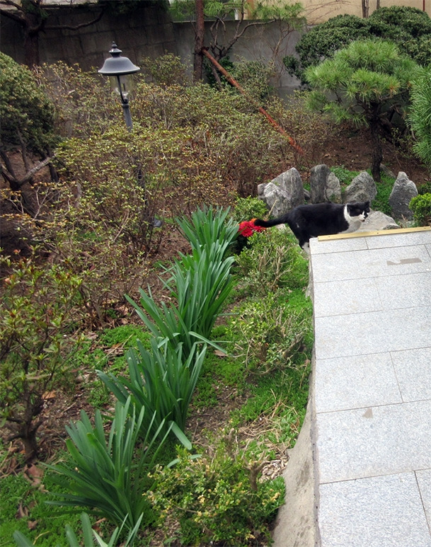 0_상사화_240408 (9).jpg