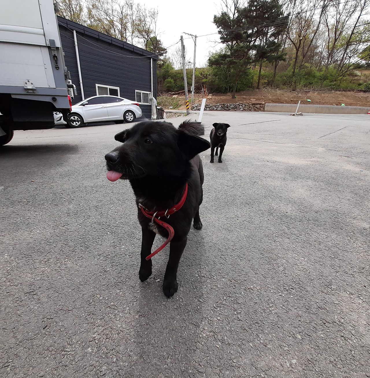 인쇄소검둥이3_230413 (16).jpg