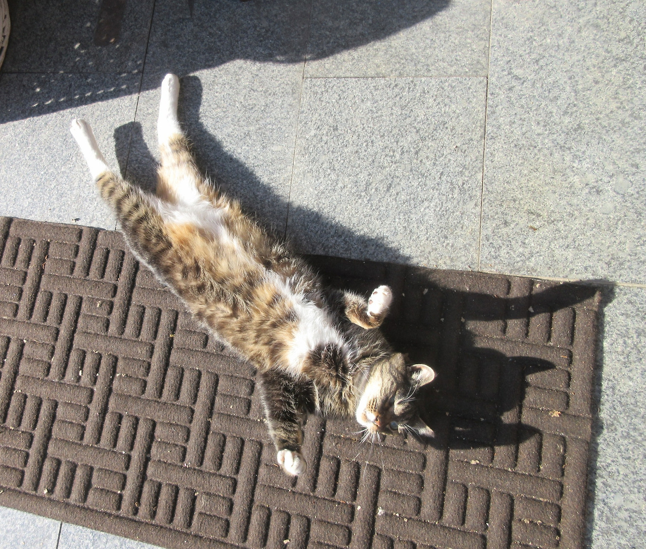 1_목걸이_겨울볕_240112.jpg