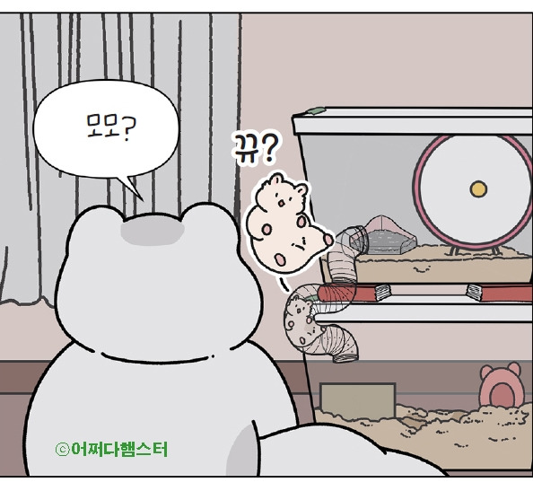 0_어쩌다햄스터1-.jpg