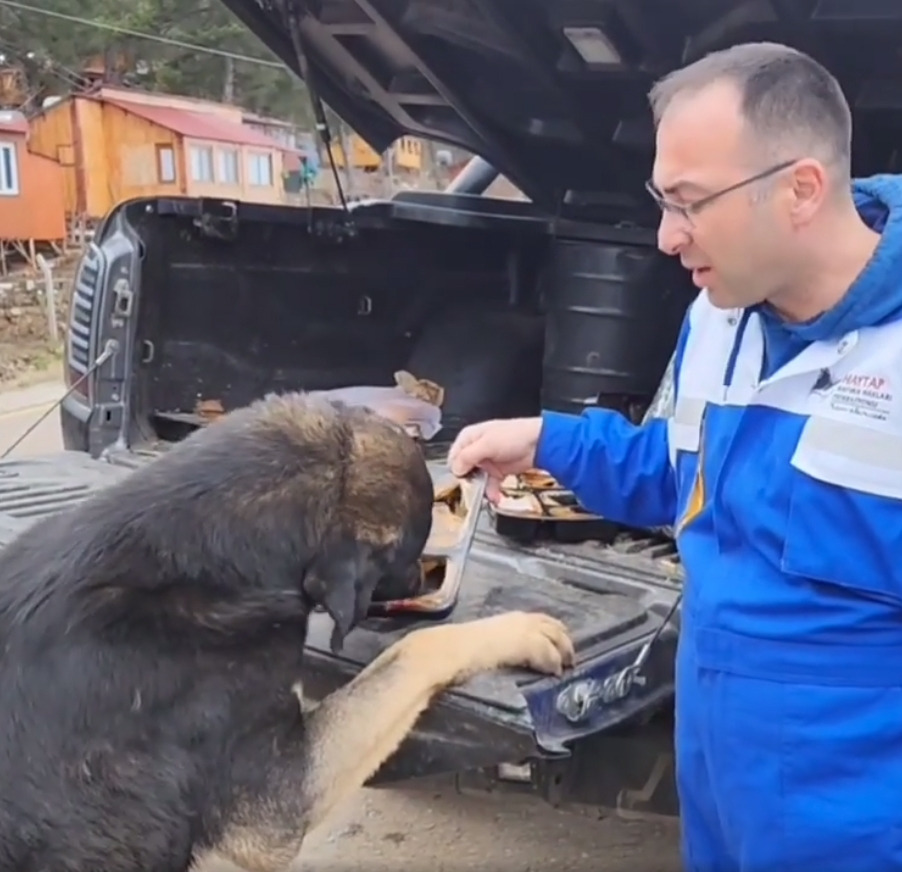 1_터키후원_2303_3_1 (2).jpg