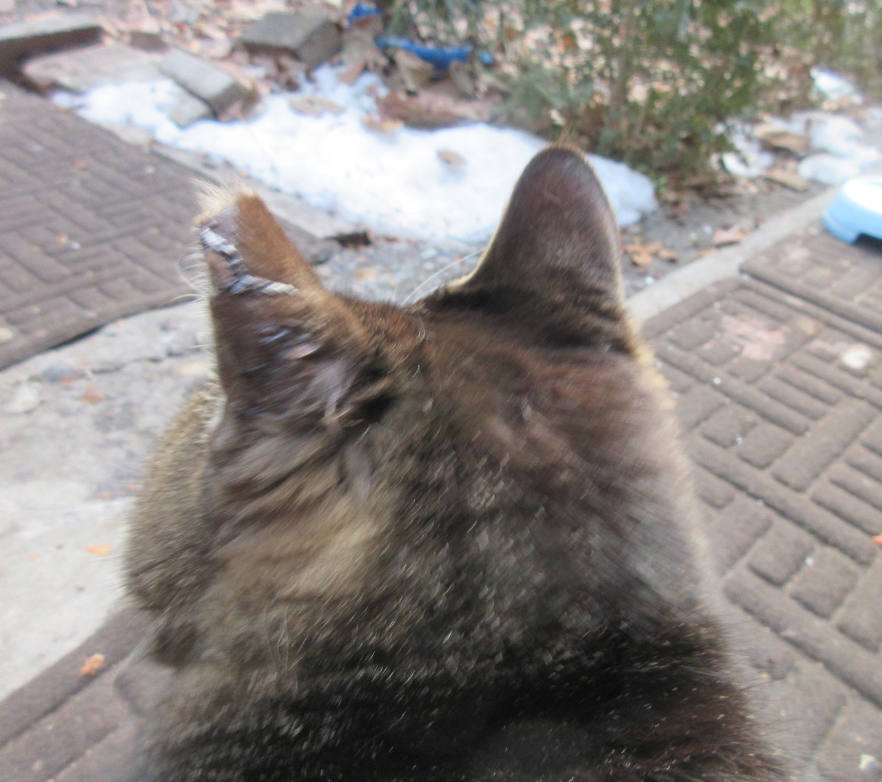 목걸이_다쳤어2_130104 (64).jpg