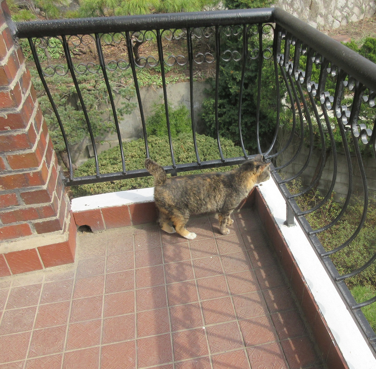 1_작은귀_베란다_은애4_240327 (45).jpg