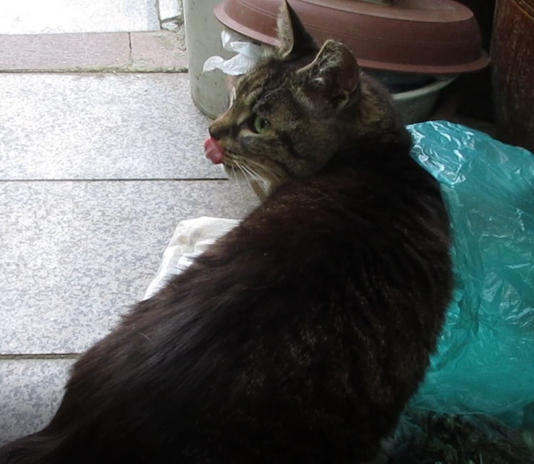 목걸이_멸치똥1_220521 (116)_2.jpg