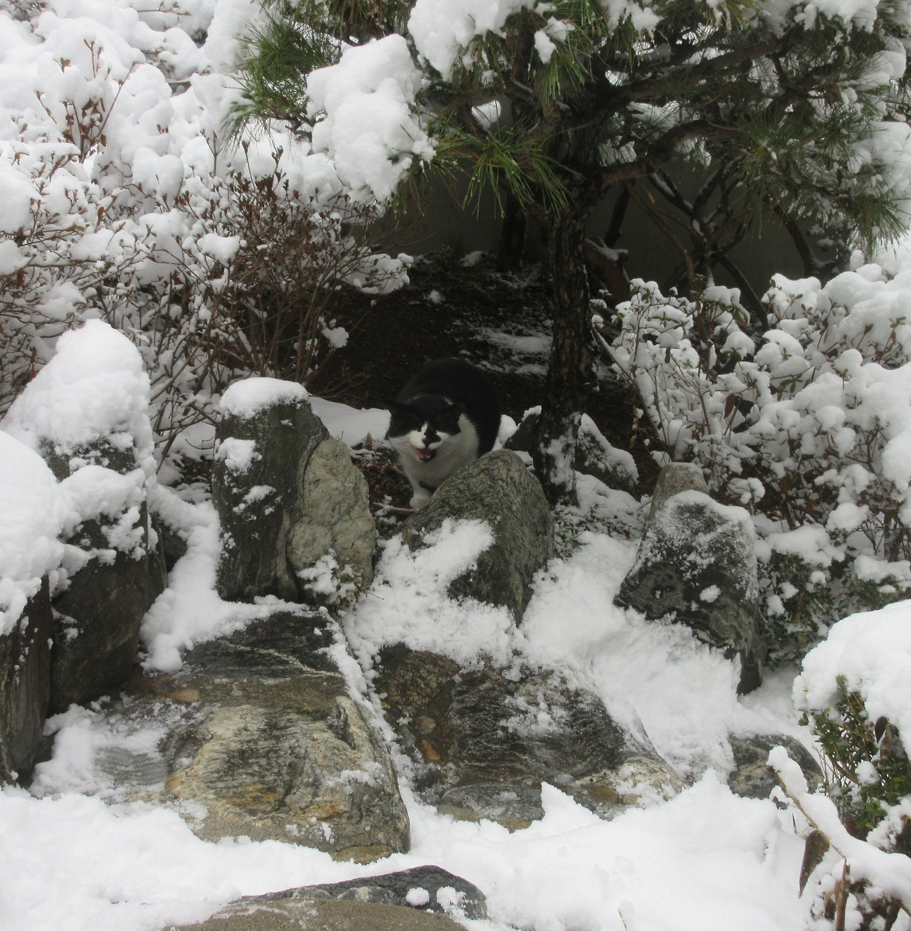 1_폭설_은애찾기3_240222 (154).jpg