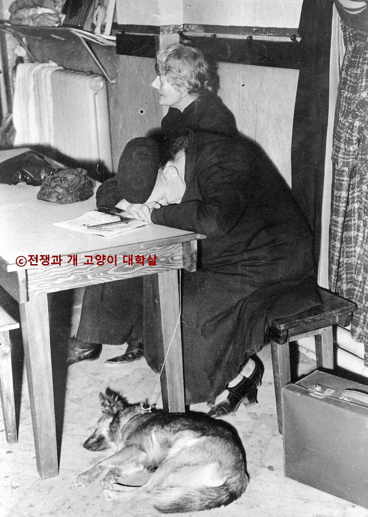 0_휴식 센터에 함께 있는 지친 개와 인간._페이지_258.jpg