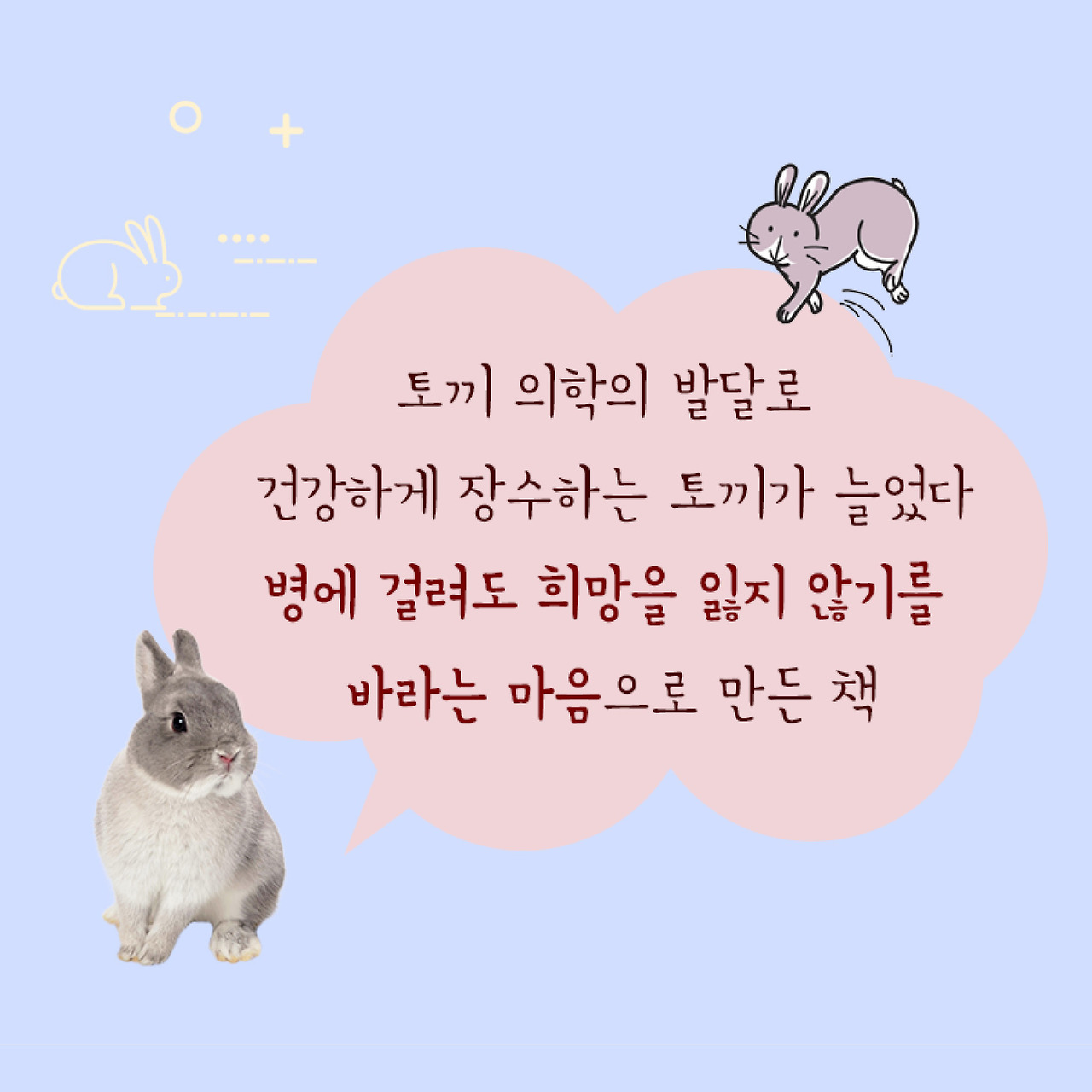 토끼질병_웹배너2.jpg