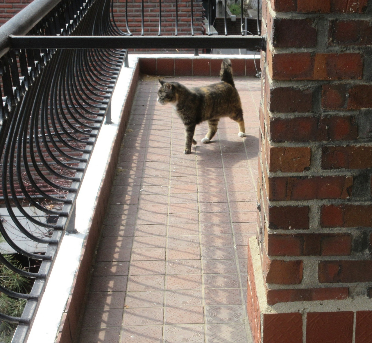 1_작은귀_베란다_은애1_240327 (45).jpg