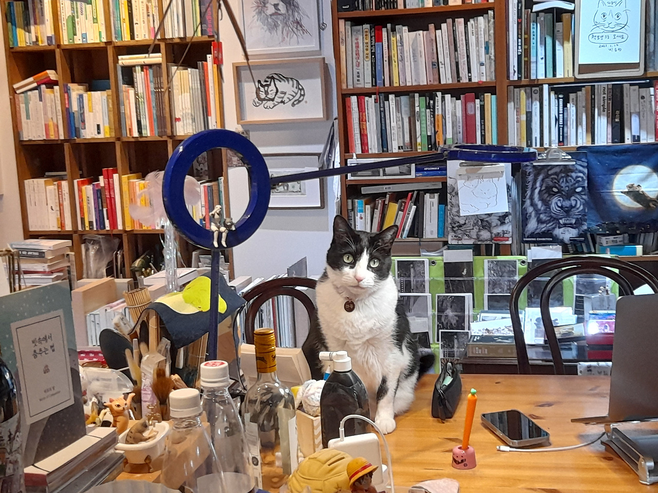 책보냥_하동_촬영_221005_140245.jpg