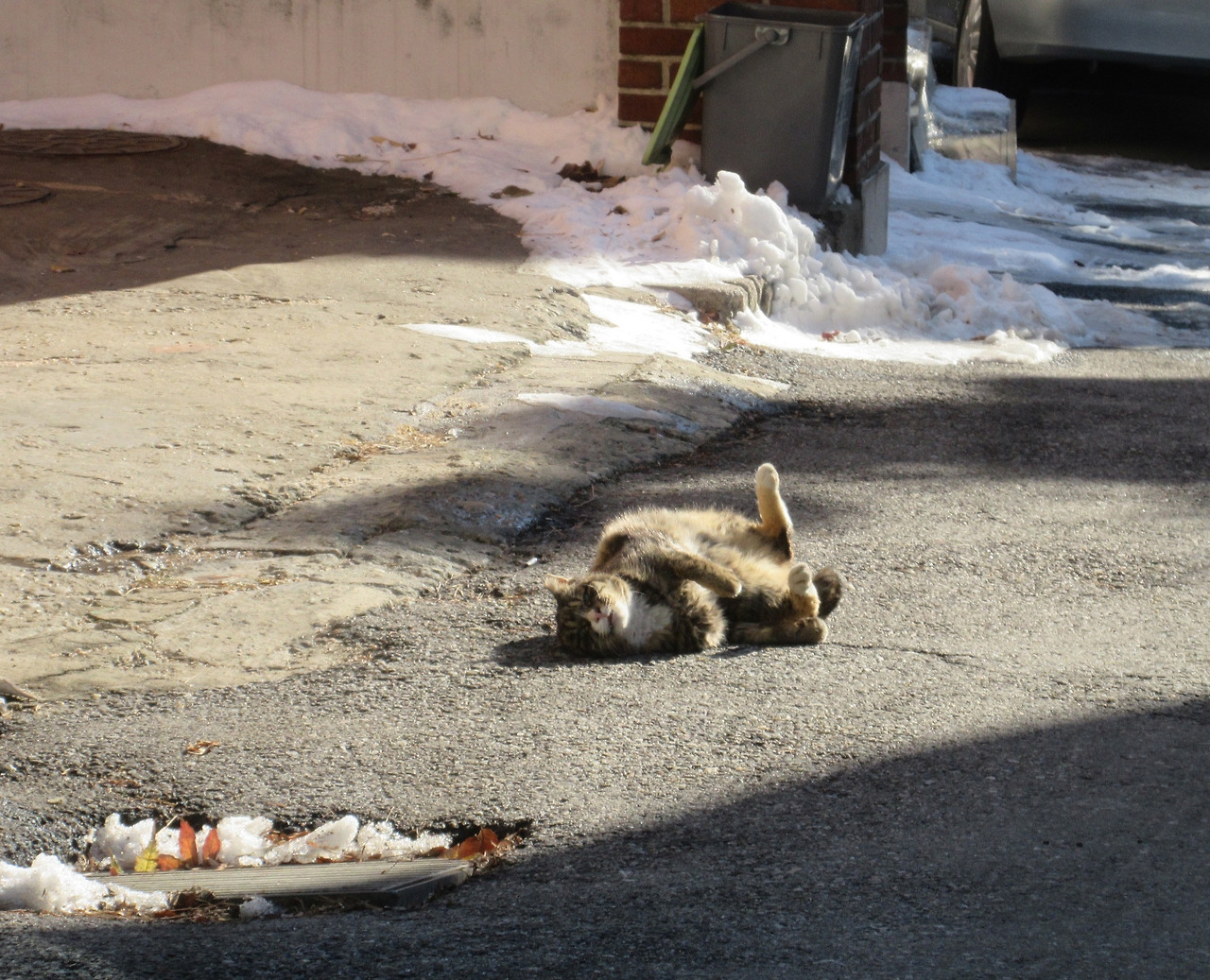 1작은귀_목걸이3_1팽팽하기는_221228 (77).jpg