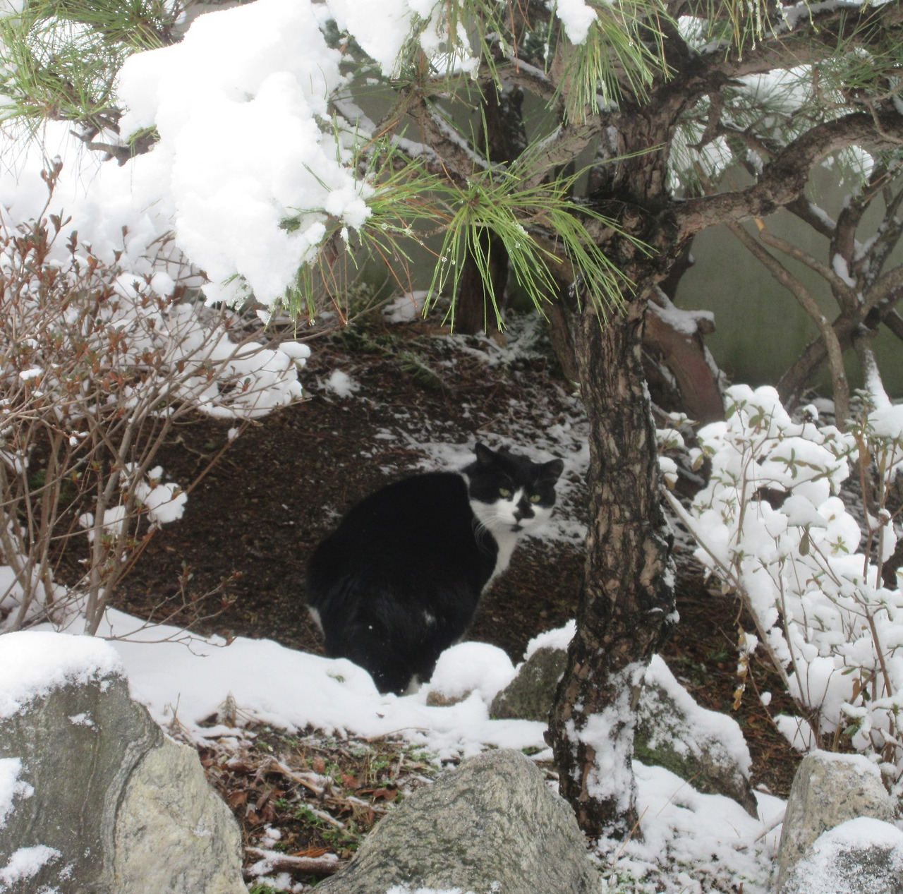 1_폭설_은애찾기1_240222 (154).jpg