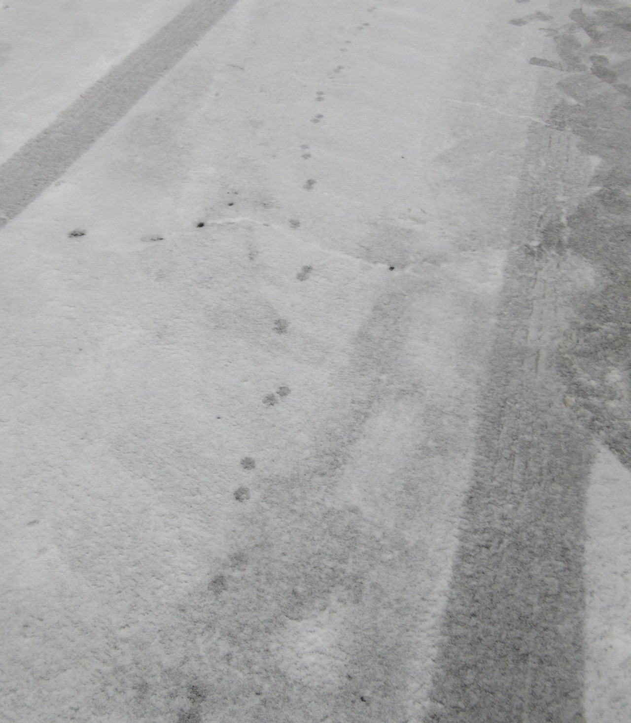 1산동네_촉설_은애_작은귀3_221221 (22).jpg