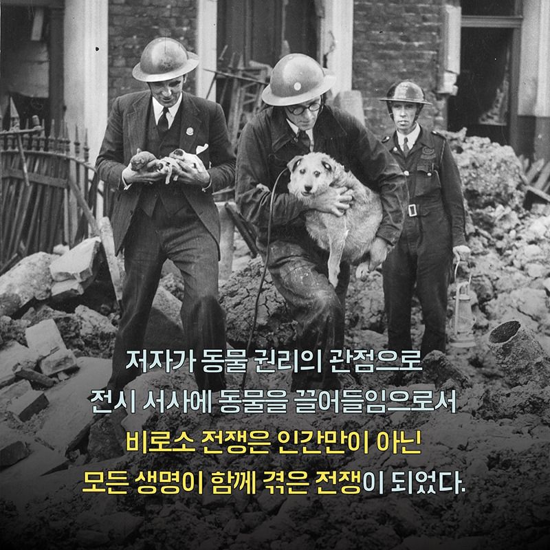 1_북카드_전쟁과개고양이대학살5.jpg